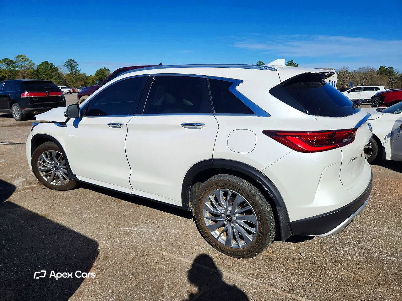 Infiniti QX50 2024