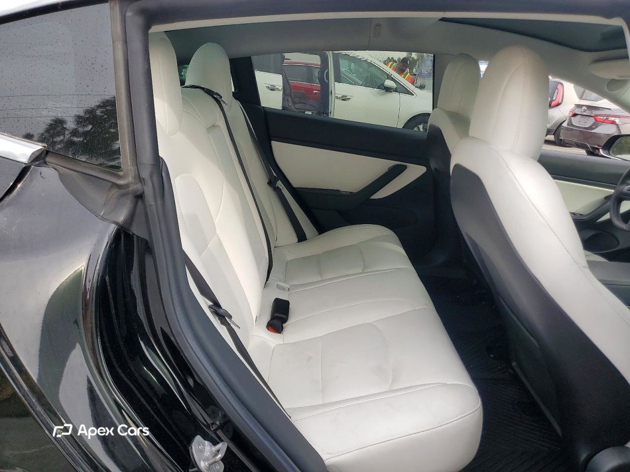 Tesla Model 3 2019