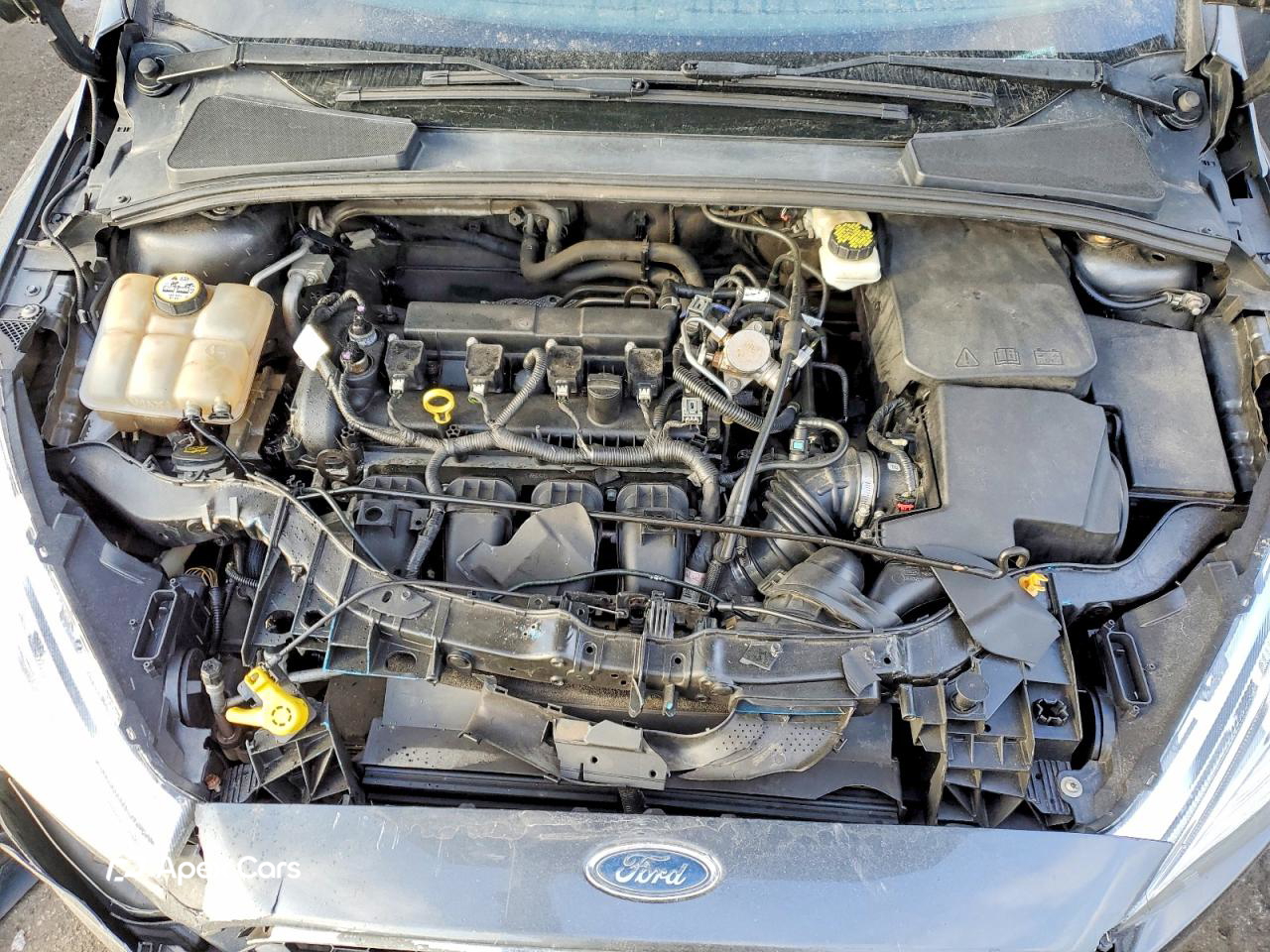Ford Focus 2017