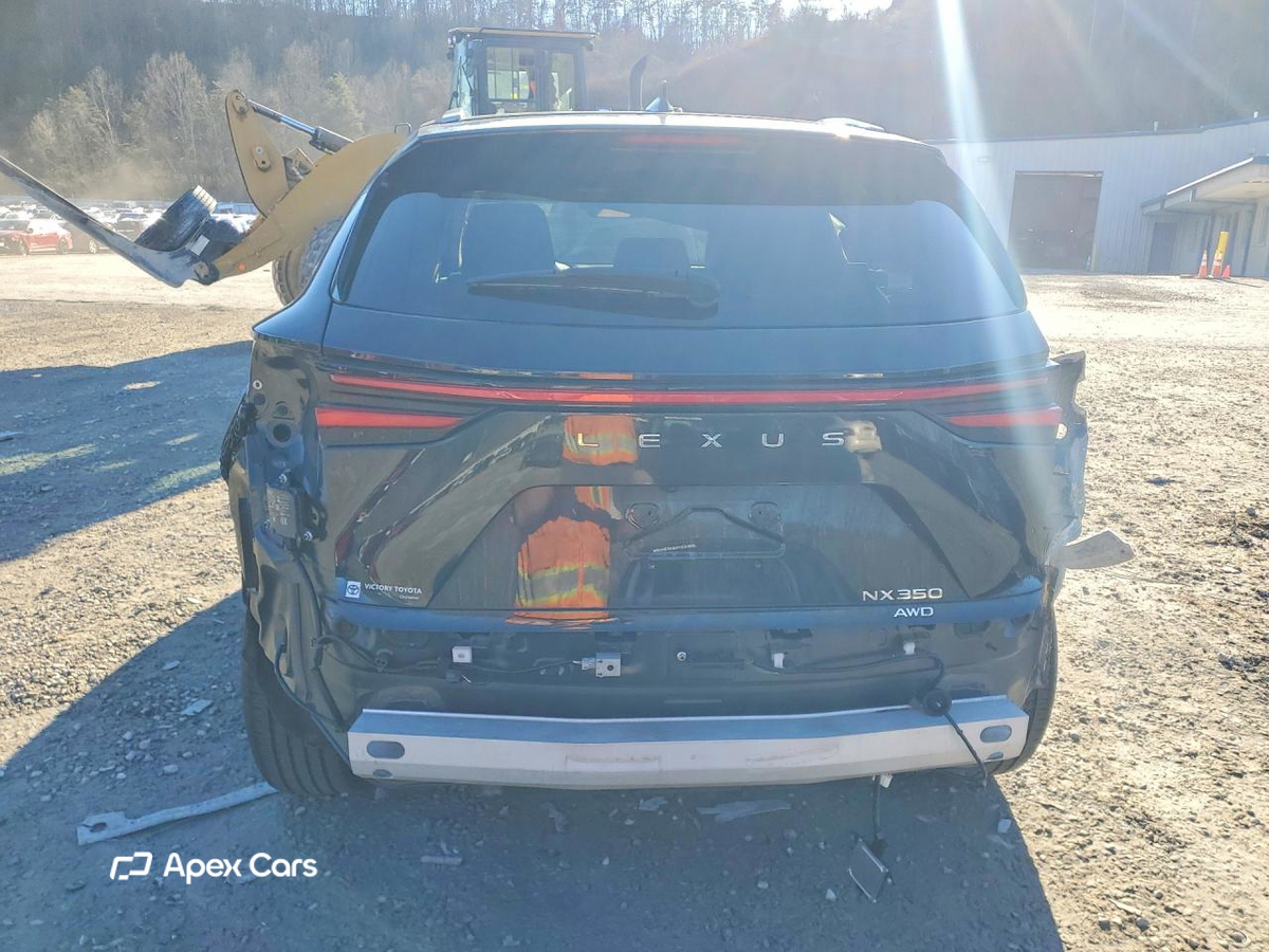 Lexus NX 2024