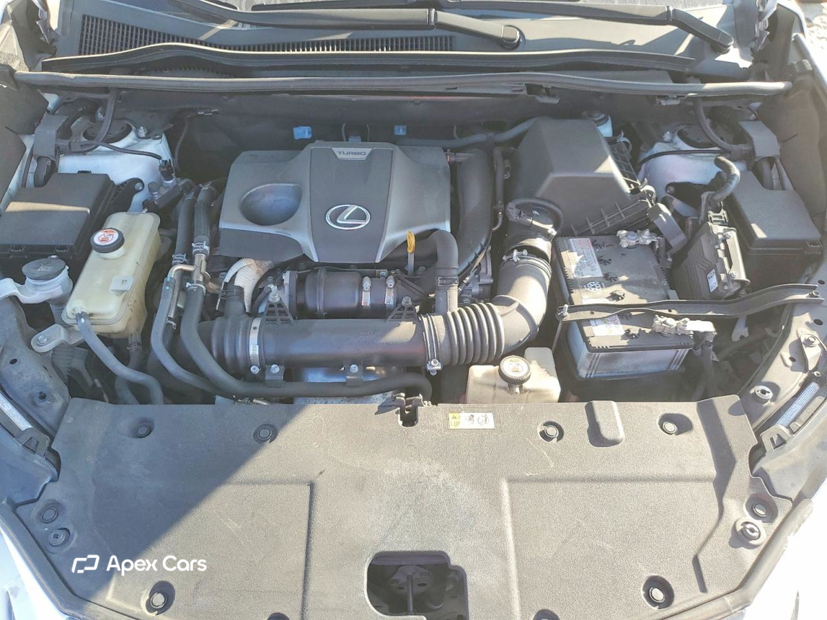 Lexus NX 2020