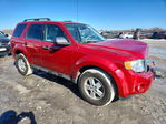 Ford Escape 2010