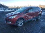Ford Escape 2015