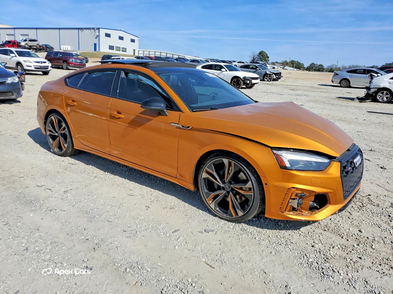 Audi S5 2021