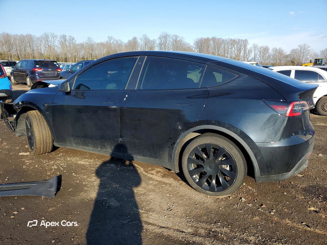 Tesla Model Y 2021