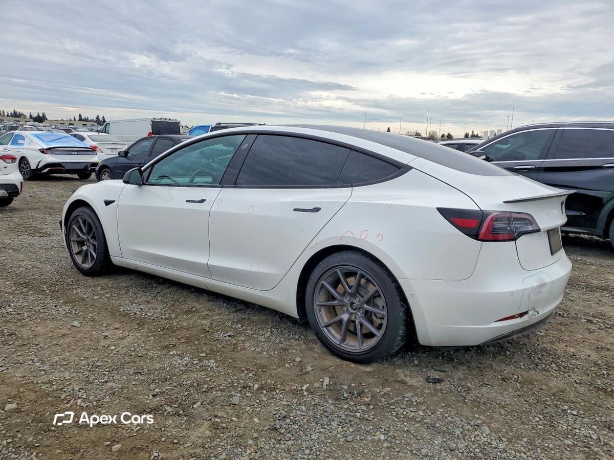Tesla Model 3 2021