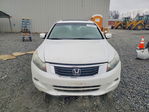 Honda Accord 2010