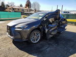 Lexus NX 2025