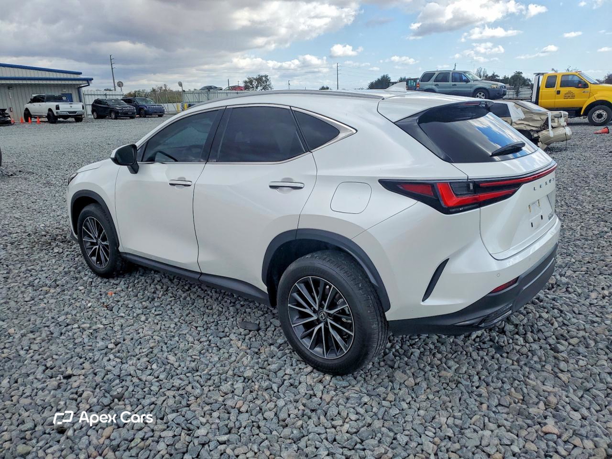 Lexus NX 2024
