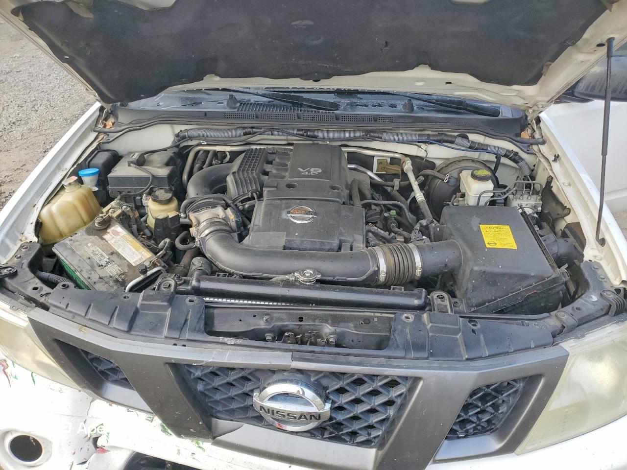 Nissan Navara (Frontier) 2012