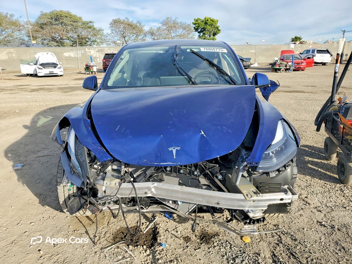 Tesla Model Y 2025