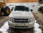 Ford Escape 2008