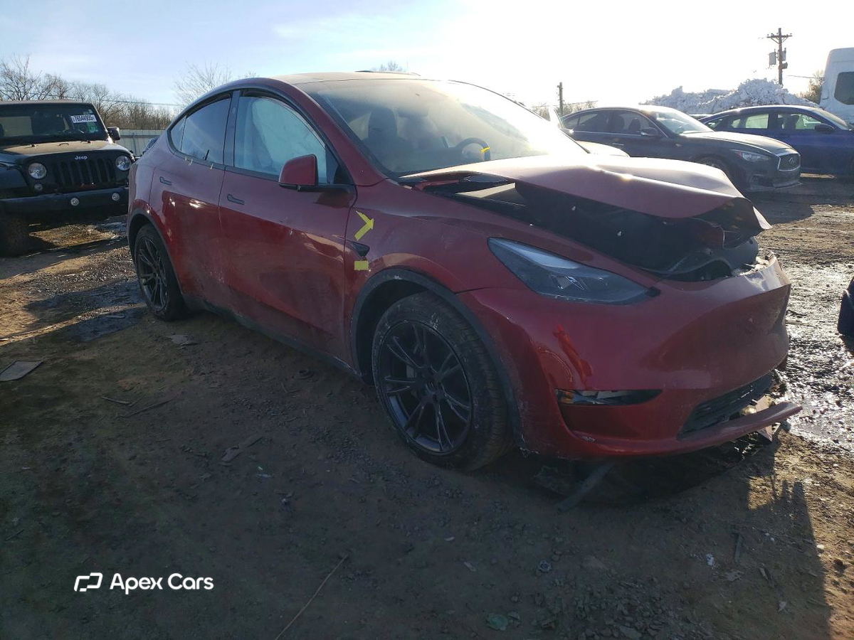 Tesla Model Y 2024