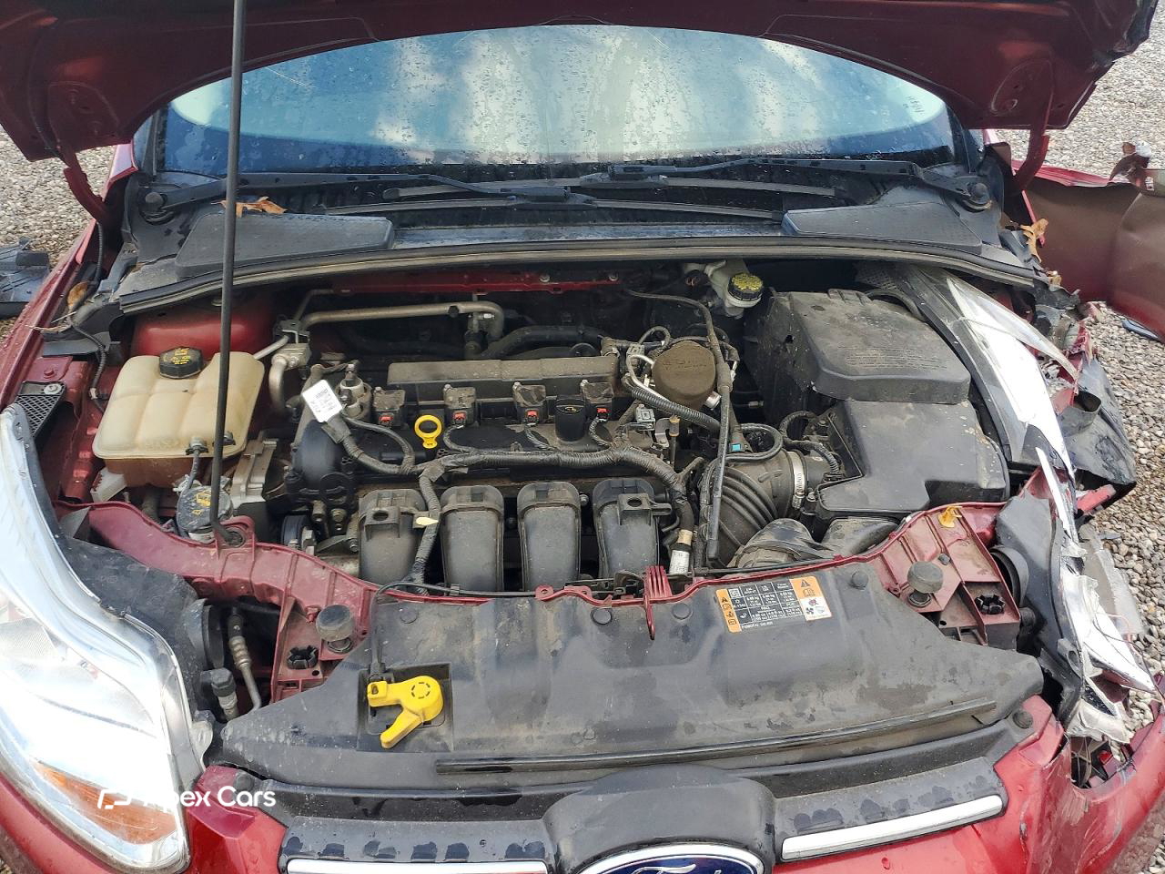 Ford Focus 2014