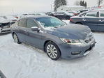 Honda Accord 2013