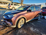 Toyota RAV 4 2017