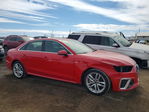 Audi A4 2020