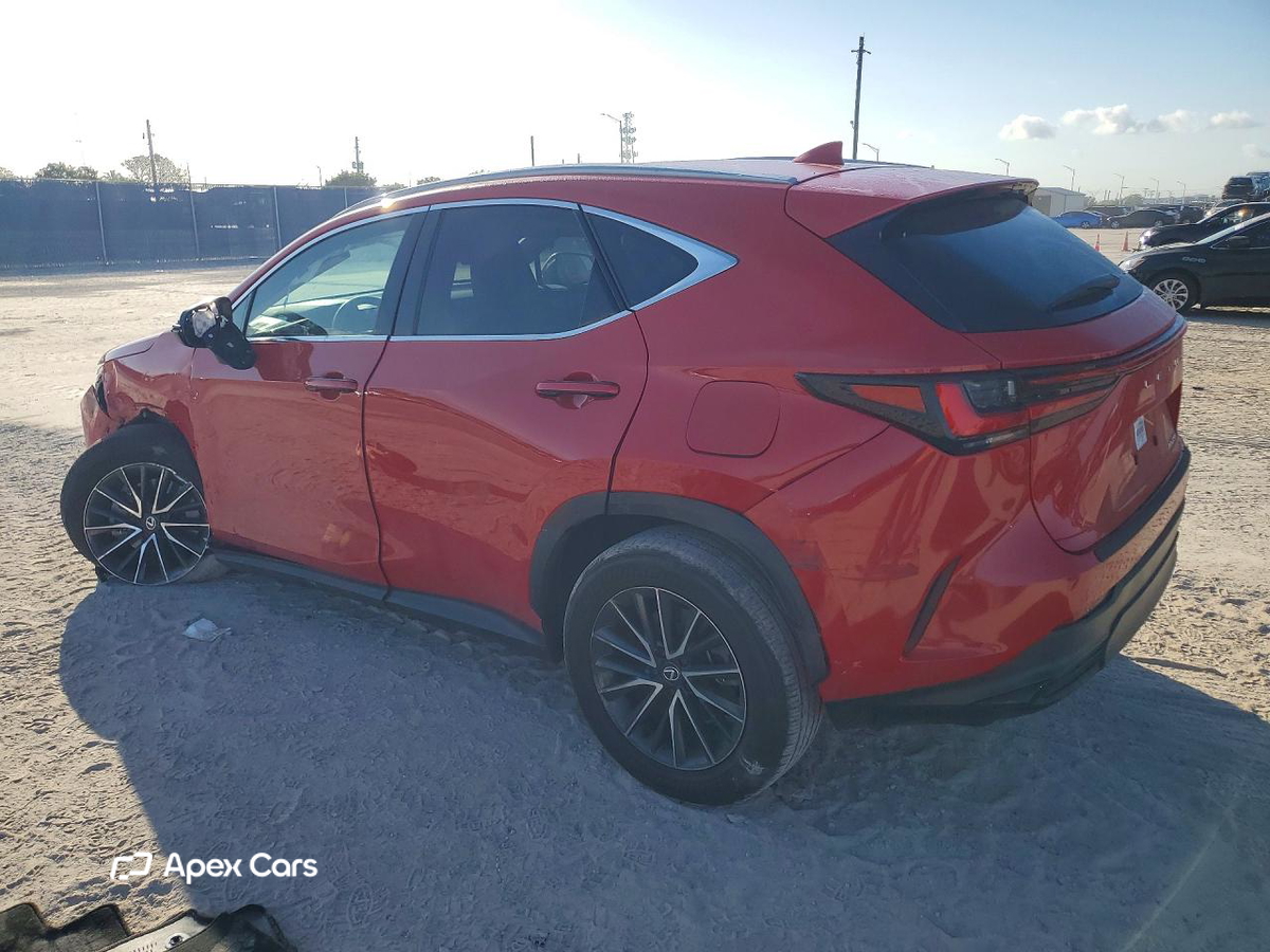 Lexus NX 2024