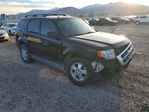 Ford Escape 2012