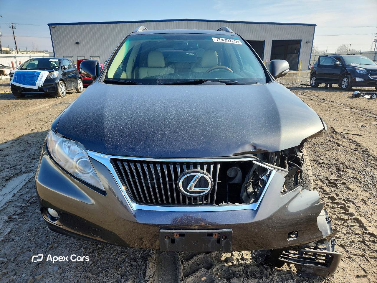 Lexus RX 2010