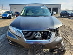 Lexus RX 2010