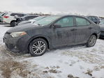 Toyota Corolla 2015