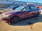 Honda Accord 2010