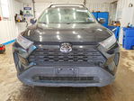 Toyota RAV 4 2021