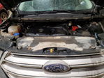 Ford Edge 2016