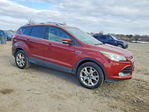 Ford Escape 2016