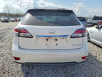 Lexus RX 2013