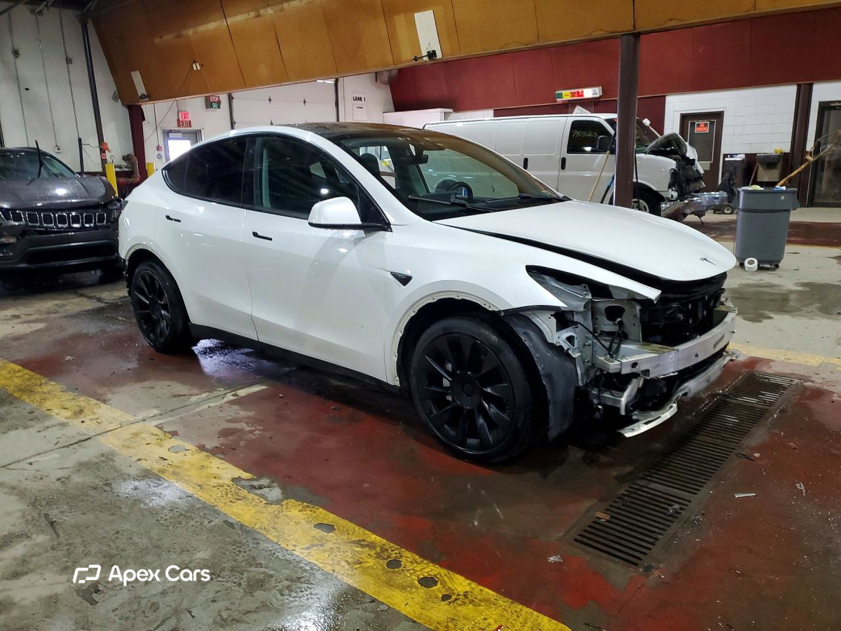 Tesla Model Y 2020