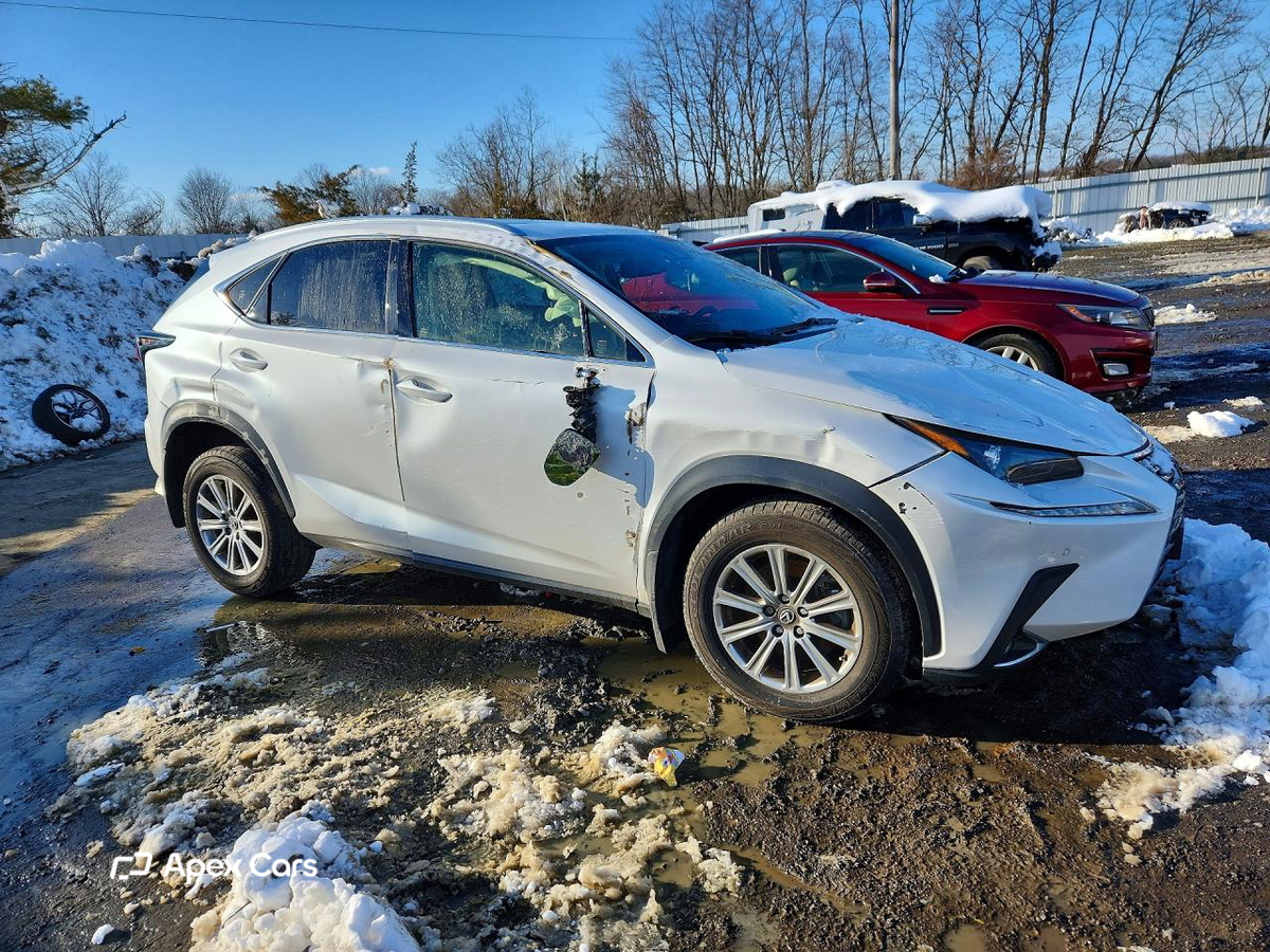 Lexus NX 2020
