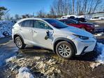 Lexus NX 2020