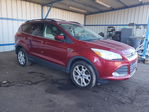 Ford Escape 2013