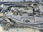 Honda Accord 2010