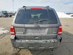 Ford Escape 2012