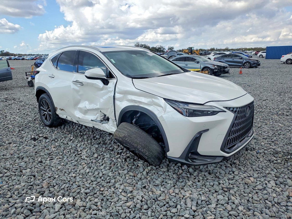 Lexus NX 2024