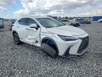 Lexus NX 2024