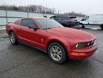 Ford Mustang 2008