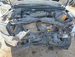 Nissan Navara (Frontier) 2024