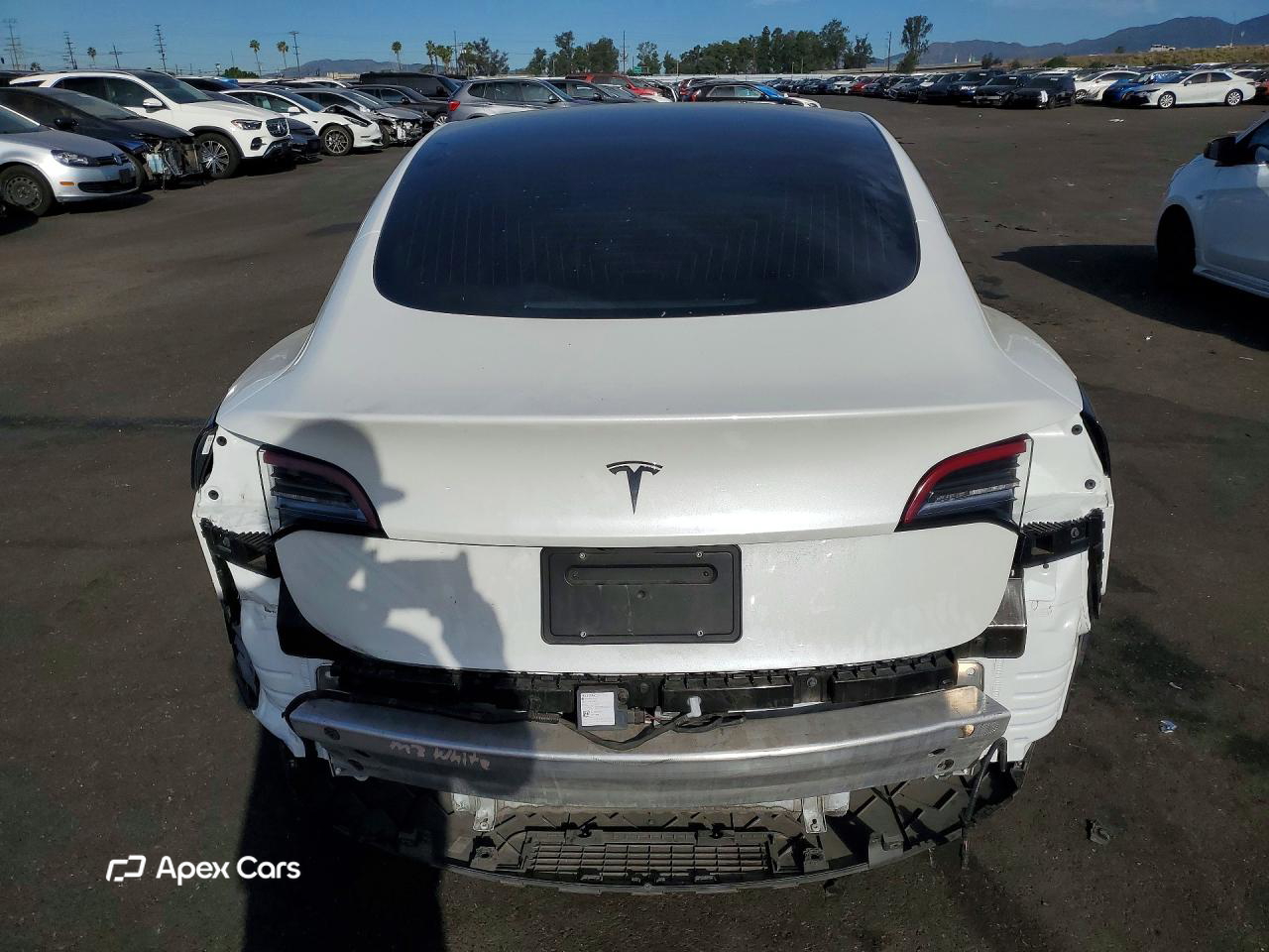 Tesla Model 3 2020
