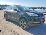 Ford Escape 2013