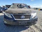 Lexus RX 2010