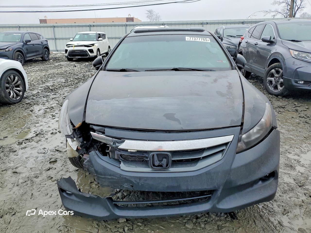 Honda Accord 2009