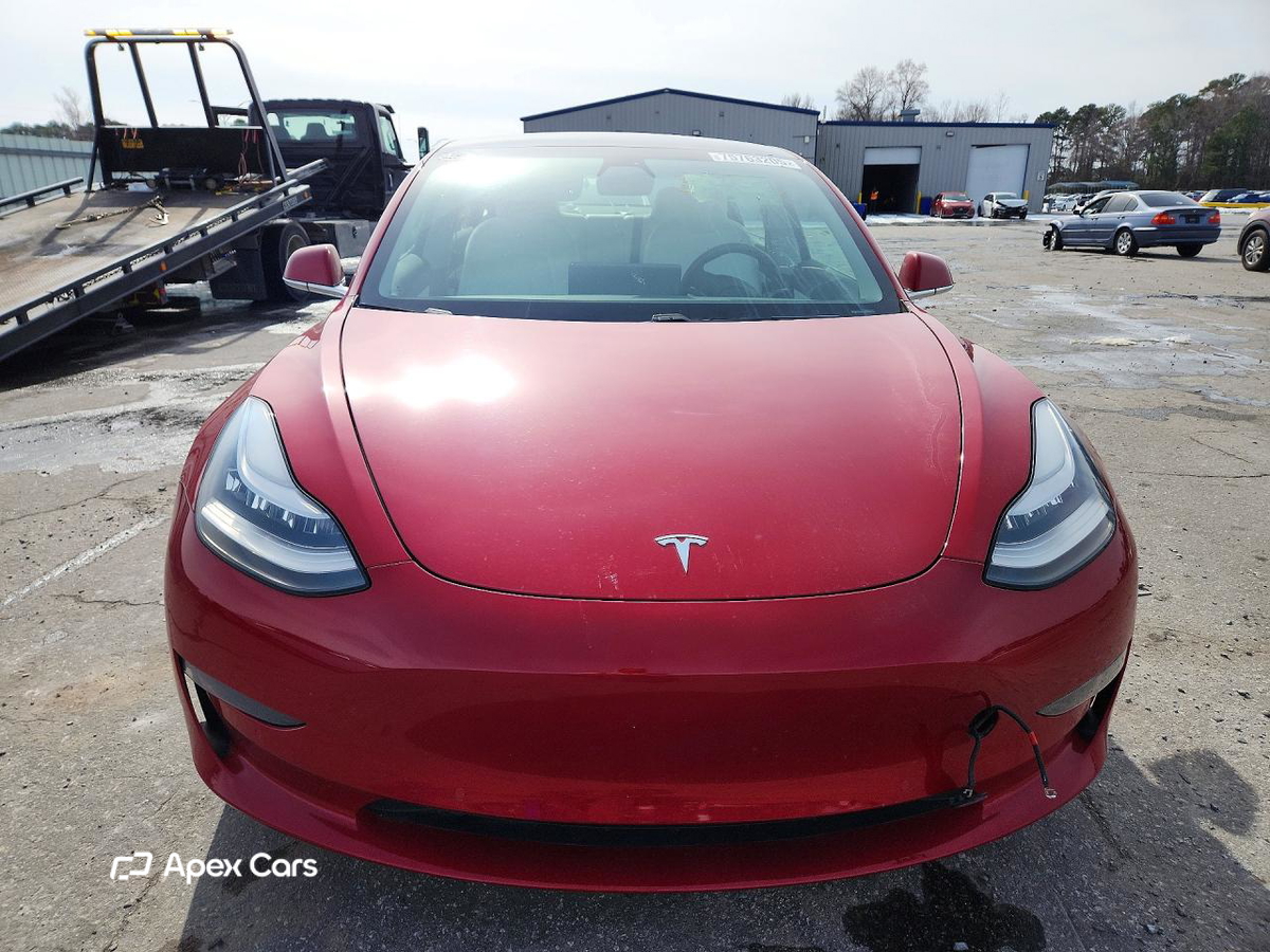 Tesla Model 3 2019