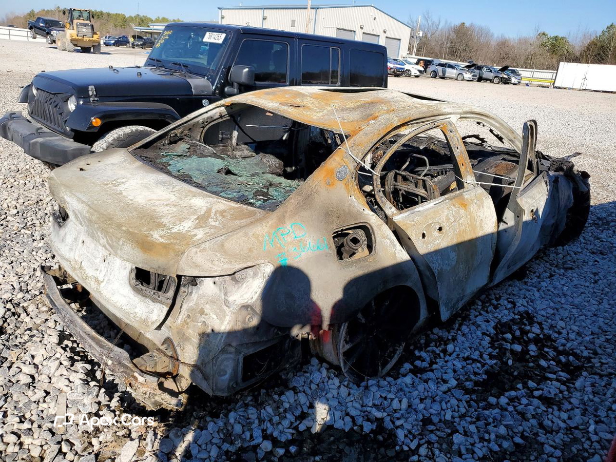 BMW  2019