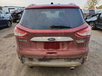 Ford Escape 2014