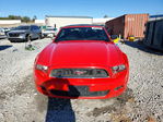 Ford Mustang 2014