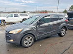 Ford Escape 2015